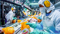 fadel s.a., dos decadas de crecimiento y compromiso con la eficiencia