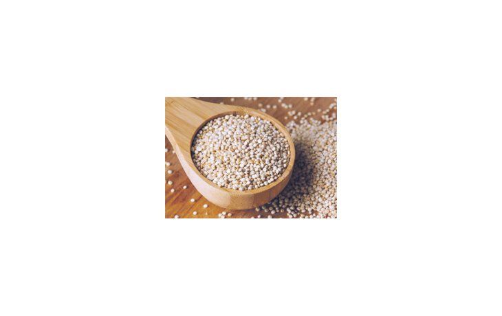 La quinoa, o “semilla de los dioses” , debe cumplir con ciertos requisitos para su industrialización, de acuerdo con la  Anmat.
