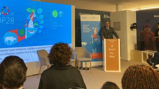 El ministro de Ganadería, Agricultura y Pesca, Fernando Mattos, expuso ante la COP 28 sobre la neutralidad de la ganadería uruguaya.