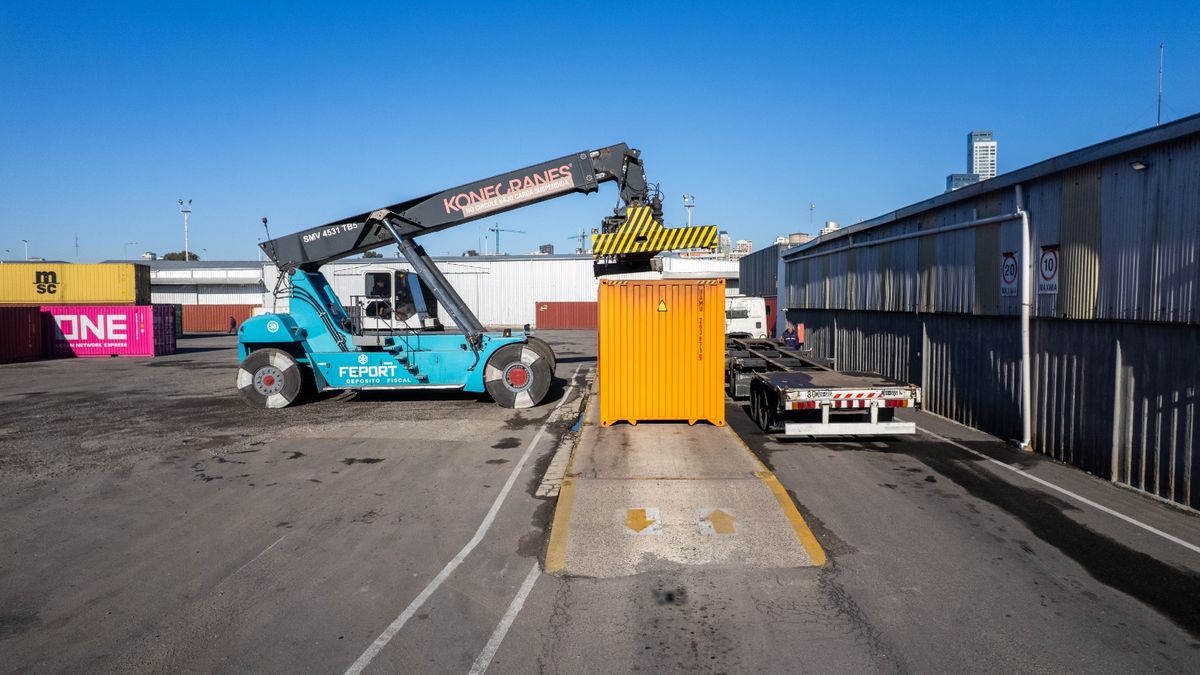 The Government updates the import regime for the rigi: what are the changes