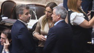 Ritondo pidió aprobar la ley Bases y el paquete fiscal sin las modificaciones del sENADO.
