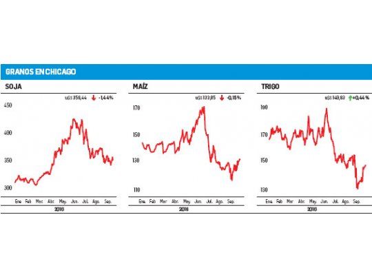 La soja bajó 1,44% y cortó la racha positiva