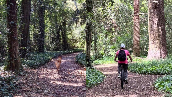 Bosques, naturaleza y gastronomía. Cómo es el pueblo ideal para visitar en Buenos Aires.