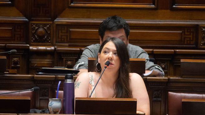 La senadora del Frente Amplio (FA), Bettiana Díaz, analizó el tratamiento del proyecto de Presupuesto.