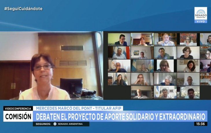 marco del pont aseguro en el senado que el aporte solidario afectara a 11.855 personas