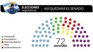El nuevo Senado quedará con mayor paridad entre el La Libertad Avanza y el peronismo. El nuevo Senado quedará con mayor paridad entre el La Libertad Avanza y el peronismo.