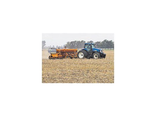 La Bolsa de Comercio de Rosario advierte sobre excesos hídricos en algunas zonas.