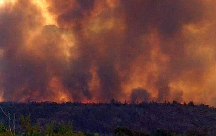 Vallejos sobre los incendios en el sur: Los responsables de estos crímenes deben ser castigados con todo el peso de la ley