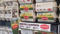 hiper changomas y changomas se suman a la comercializacion de huevos de gallina libres de jaula