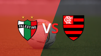 apretada victoria de palestino frente a flamengo