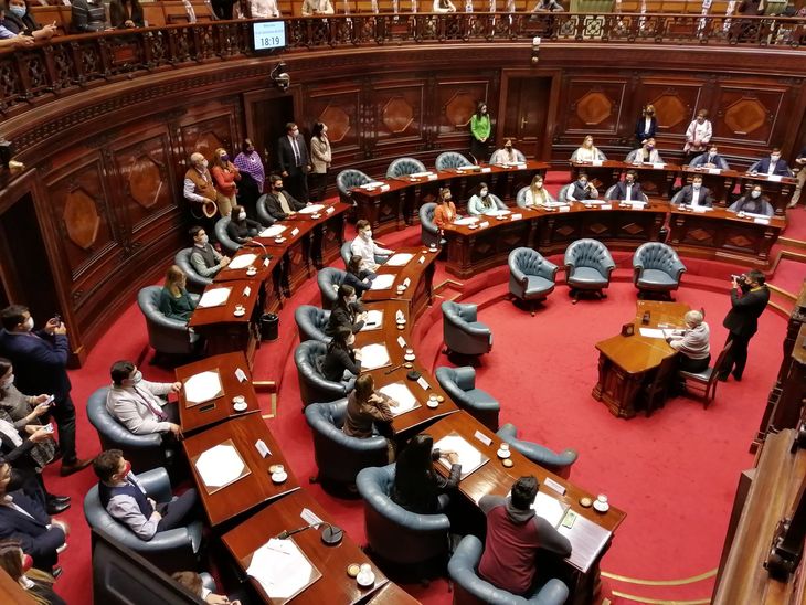 Saldain presentó ante la comisión especial del Senado de Uruguay las proyecciones del gasto público del sistema previsional.