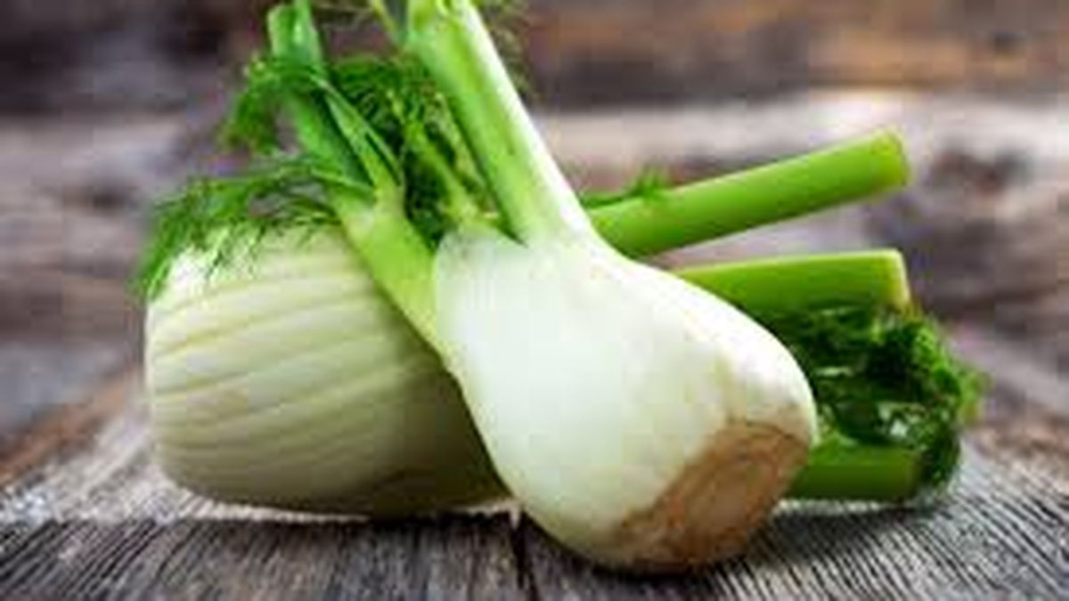 What are the benefits of fennel and why is more and more recipes appearing? What are the benefits of fennel and why is more and more recipes appearing?
