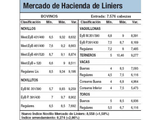 Poco interés hizo caer al novillo en Liniers