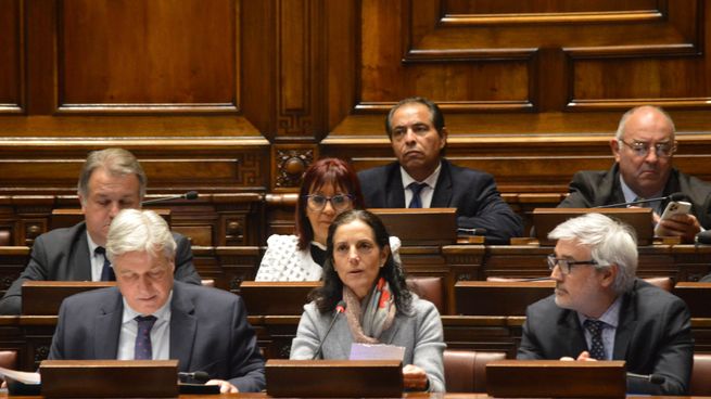 La ministra Azucena Arbeleche expresó ante el Parlamento su postura sobre la CTM de Salto Grande.