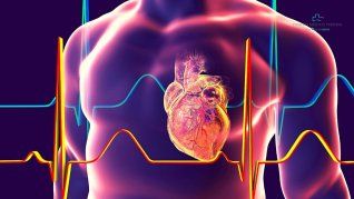 Un estudio identifica a Ruminococcus gnavus como bacteria intestinal protectora frente a la fibrilación auricular y la fibrosis cardiaca. Un estudio identifica a Ruminococcus gnavus como bacteria intestinal protectora frente a la fibrilación auricular y la fibrosis cardiaca.