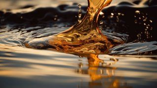 El petroleo cotizaba en mínimo de dos semanas.