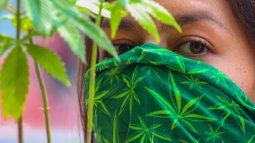 México se convertirá en el mayor mercado de marihuana del mundo.