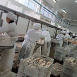 La pesca protagonizó la primera exportación sin aranceles por el acuerdo Mercosur-UE. La pesca protagonizó la primera exportación sin aranceles por el acuerdo Mercosur-UE.
