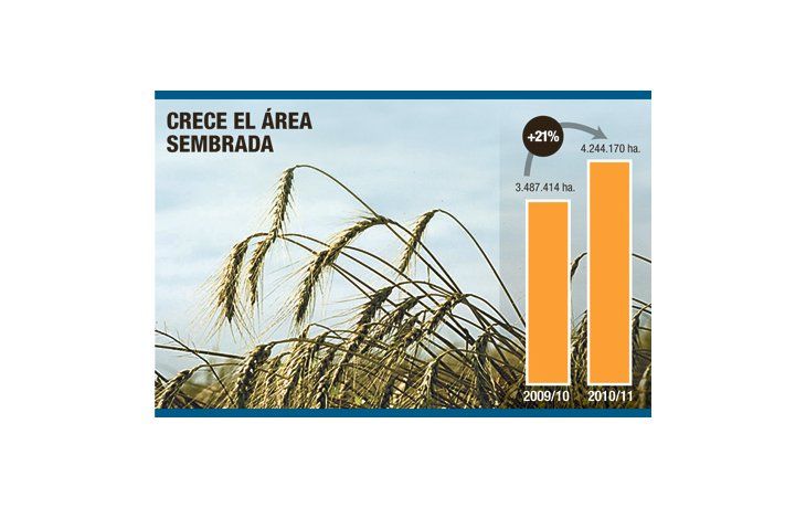 El área sembrada con trigo crecerá un 21% por el aumento en mercados