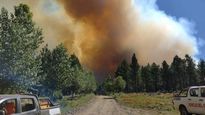 neuquen: cayo un rayo y provoco un incendio que destruyo 1.300 hectareas de bosque