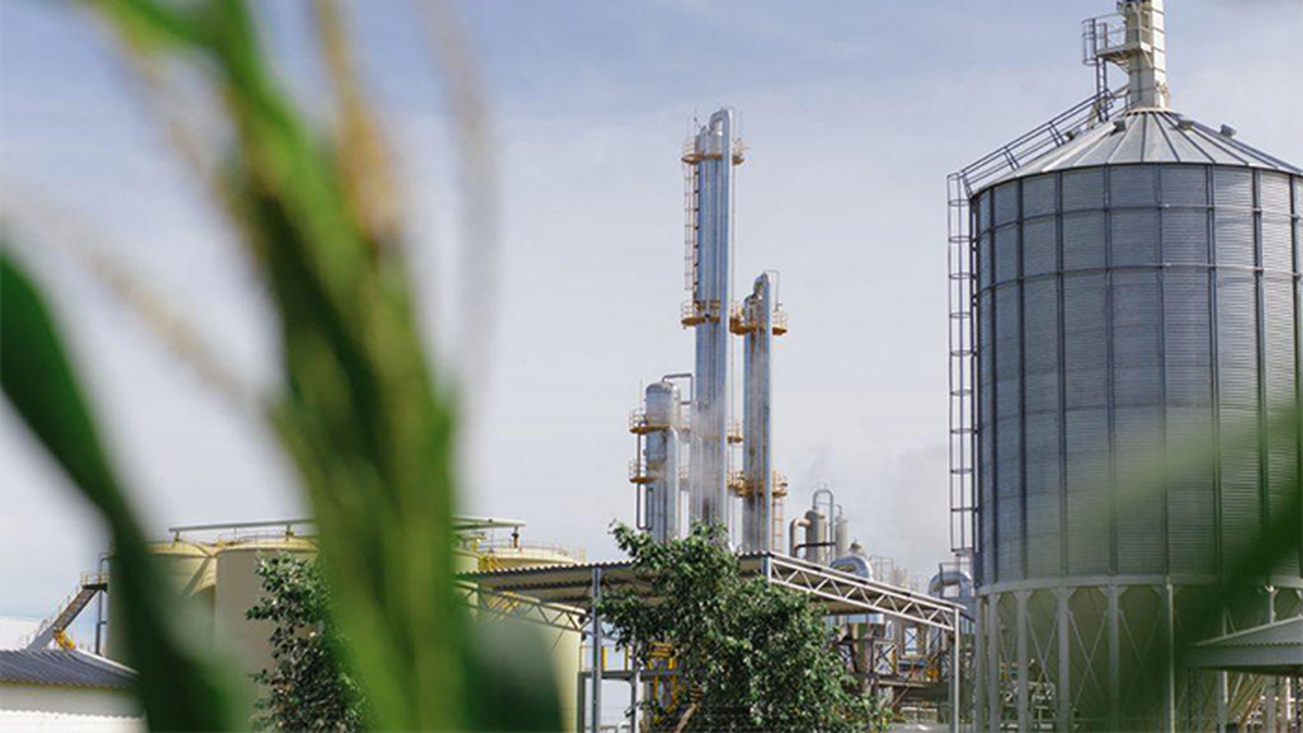 Nadia onlyfans leaked i did some quick research and decided