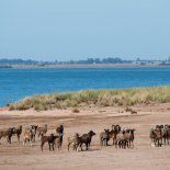 Esta isla escondida de la provincia de Buenos Aires es el lugar perfecto para escaparse un fin de semana. Esta isla escondida de la provincia de Buenos Aires es el lugar perfecto para escaparse un fin de semana.