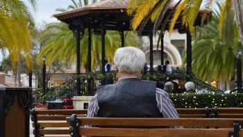 Consumir determinados alimentos puede ser vital para tu cerebro.