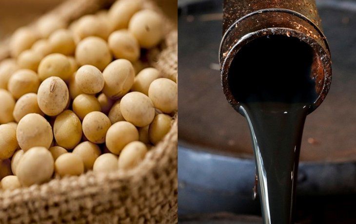 soja y petroleo: se derrumbaron las commodities clave del pais