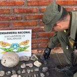 La Gendarmería encontró estos fósiles en un operativo. La Gendarmería encontró estos fósiles en un operativo.