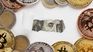 Crypto continues to be a reality for some, and a great enigma for others among Easterners. Crypto continues to be a reality for some, and a great enigma for others among Easterners.