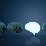 El déjà vu ocurre cuando el cerebro interpreta como familiar una situación nueva. El déjà vu ocurre cuando el cerebro interpreta como familiar una situación nueva.