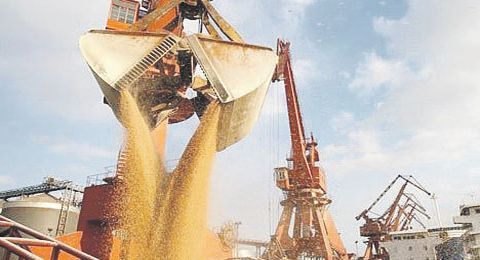 Argentina perdería cerca de u$s 11.000 millones de exportaciones este año.