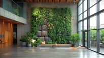 La empresa Plantpetz pudo capturar la atención de los amaates de la naturaleza y la tecnología con su millonario invento que logra que puedas interactuar en profundidad con tus plantas&nbsp;