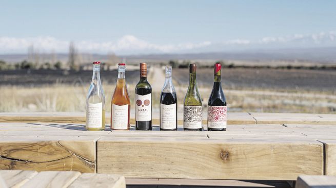 galardón. Alpamanta recibió el premio principal del Concurso Best of Wine Tourism 2024, organizado por la Great Wine Capitals.