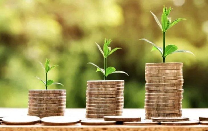 Coin verde: la criptomoneda que busca reforestar el Amazonas.