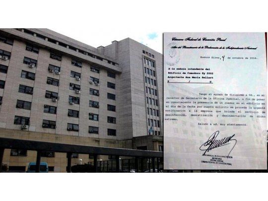 La Cámara Federal de Casación Penal solicitó la urgente desratización de los tribunales.
