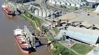 Vicentin entró en default en diciembre de 2019 con deudas superiores a los u$s1.500 millones. Vicentin entró en default en diciembre de 2019 con deudas superiores a los u$s1.500 millones.