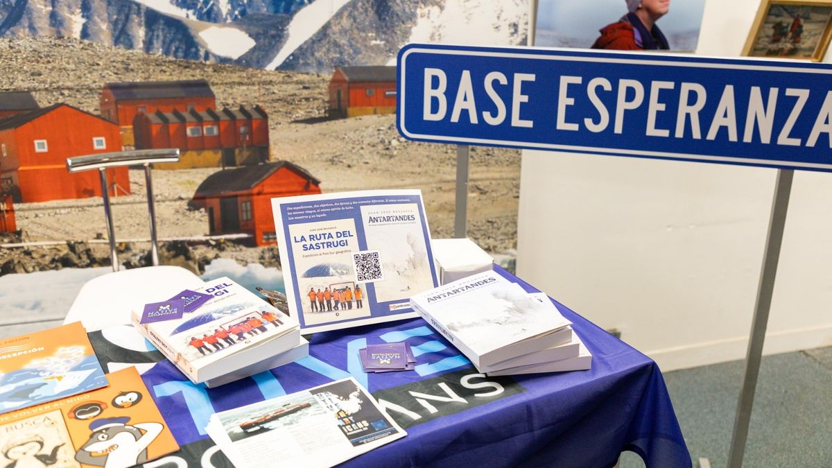 Gateway to Antarctica, the space in the City to discover the white continent Gateway to Antarctica, the space in the City to discover the white continent