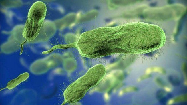 Hay casi una docena de personas infectadas en el país norteamericano.