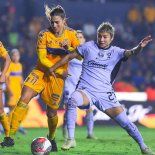 Tigres y América definirán en la tarde del domingo 23 de noviembre, en El Volcán, quien será la escuadra campeona del Apertura femenil de la Liga MX. Tigres y América definirán en la tarde del domingo 23 de noviembre, en El Volcán, quien será la escuadra campeona del Apertura femenil de la Liga MX.