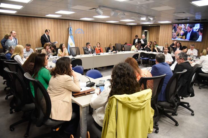 The Education Committee could represent the main obstacle to the 2025 Budget. The Education Committee could represent the main obstacle to the 2025 Budget.