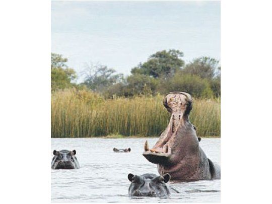 Los 10 mejores lugares de Botswana