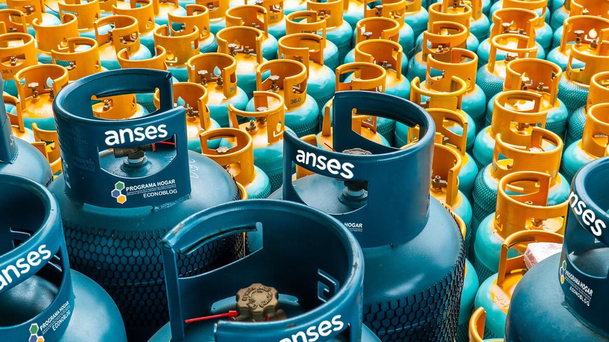 ANSES reported what the new requirements are to access the Home Program ANSES reported what the new requirements are to access the Home Program
