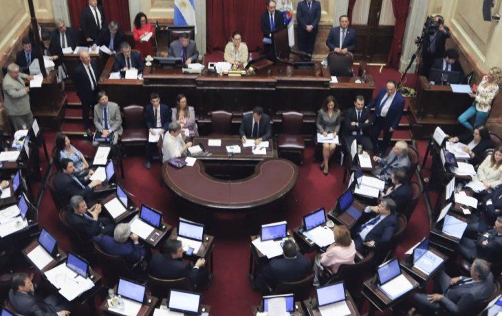 El Senado cuestionó el Servicio Cívico Voluntario.&nbsp;