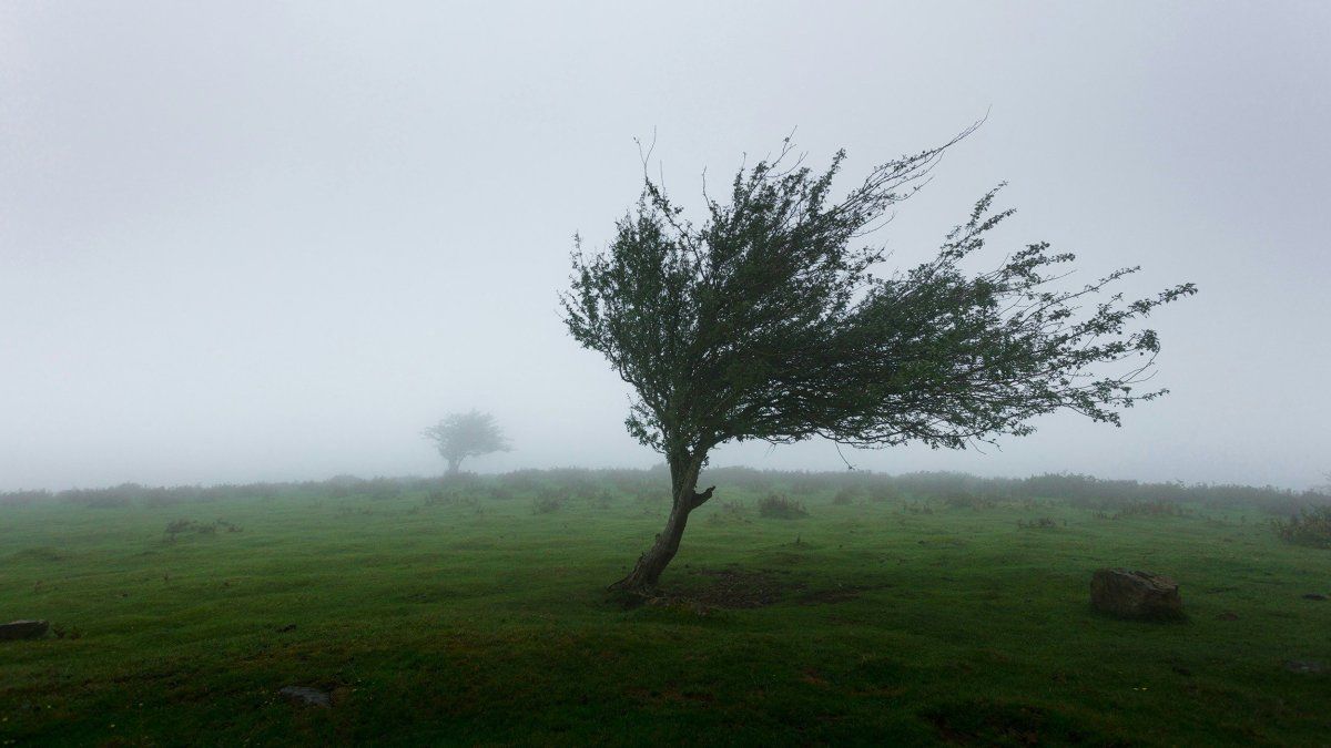 Weather alert for strong winds: which provinces are affected and how the weather will continue in the AMBA