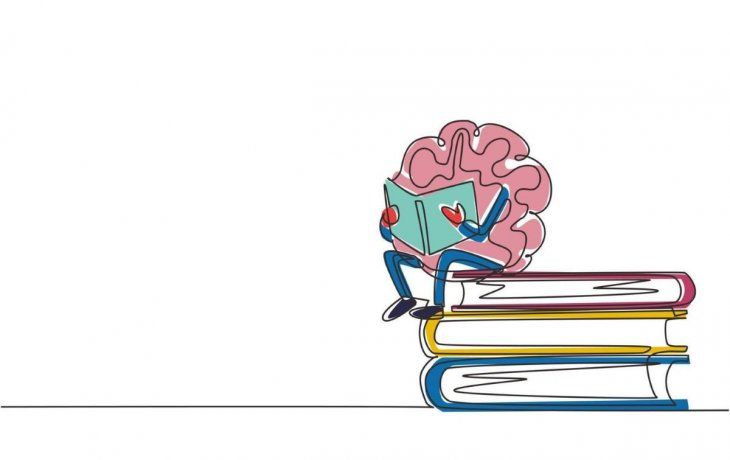 Cerebro.