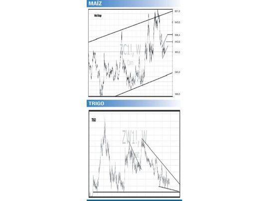 Finalizada una campaña comienza otra, el agro bajo la lupa técnica