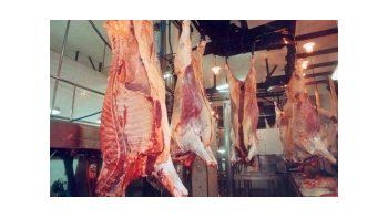 Se superó el 50% de la Cuota Hilton en 6 meses