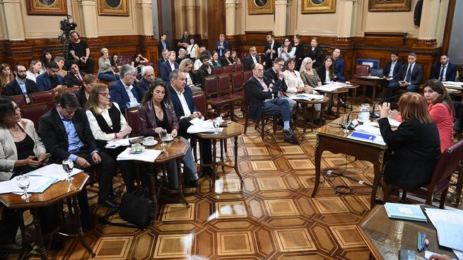 La Comisión de Asuntos Constitucionales insiste con una reforma en la ley que regula decretos.