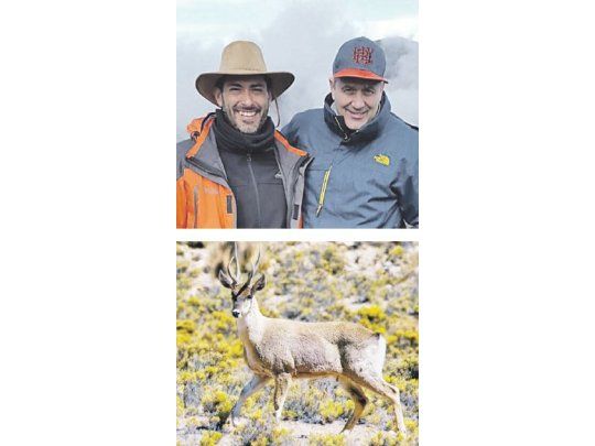 Federico Sturzenegger junto al ministro de Ambiente riojano, Santiago Azulay (arriba), durante el recorrido que realizó para fotografiar a la estilizada taruca (abajo).